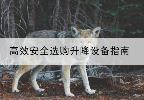 岳池升降货梯厂家推荐-*安全选购升降设备指南