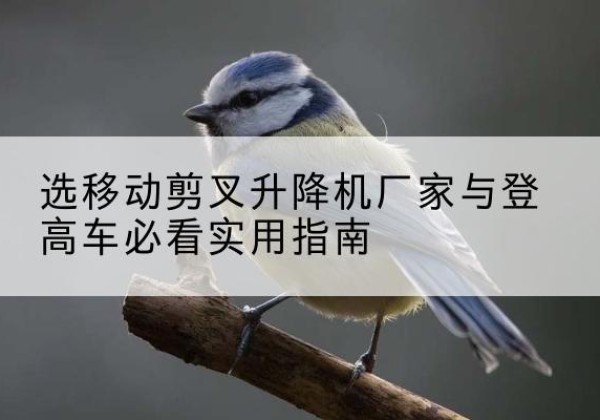 岳池电动升降机厂家-选移动剪叉升降机厂家与登高车必看实用指南