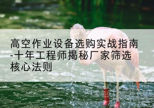 岳池剪叉式升降机厂家-高空作业设备选购实战指南-十年工程师揭秘厂家筛选核心法则